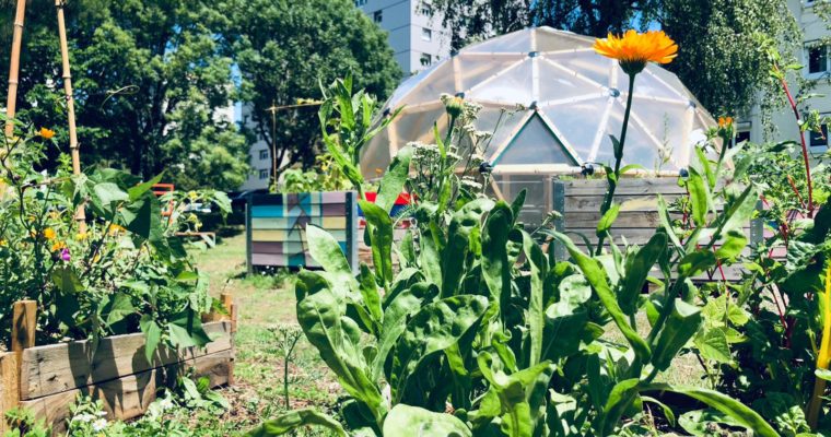 Jardin du Chêne – Lancement composteur de quartier