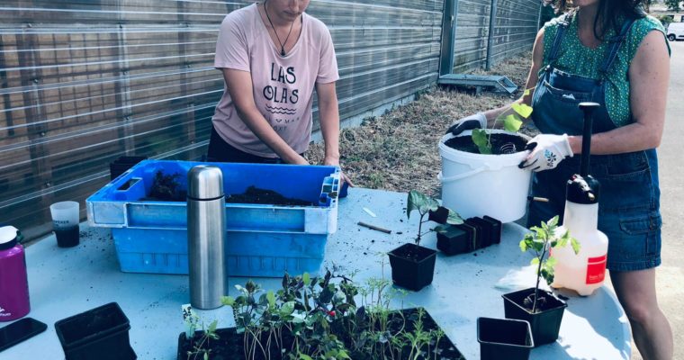 Chantier jardinage et bricolage au Solilab