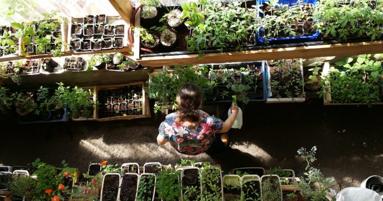 INITIATION A L’AGRICULTURE URBAINE – 23 Mars