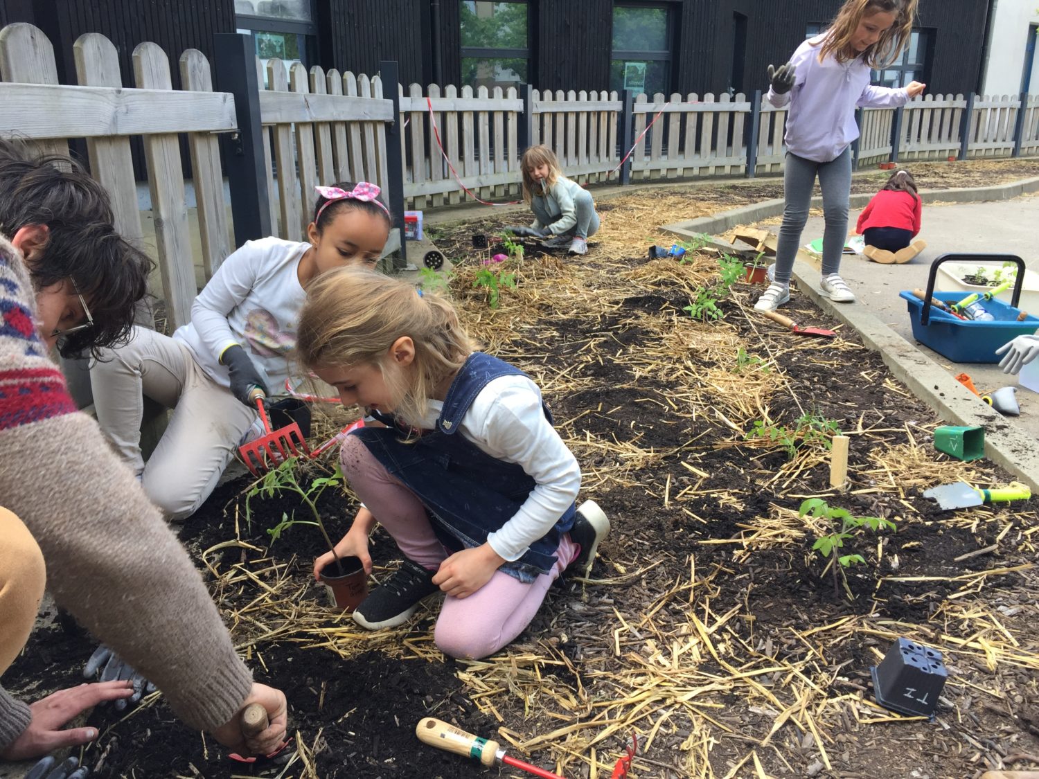 Enfants apprenant à jardiner dans un potager