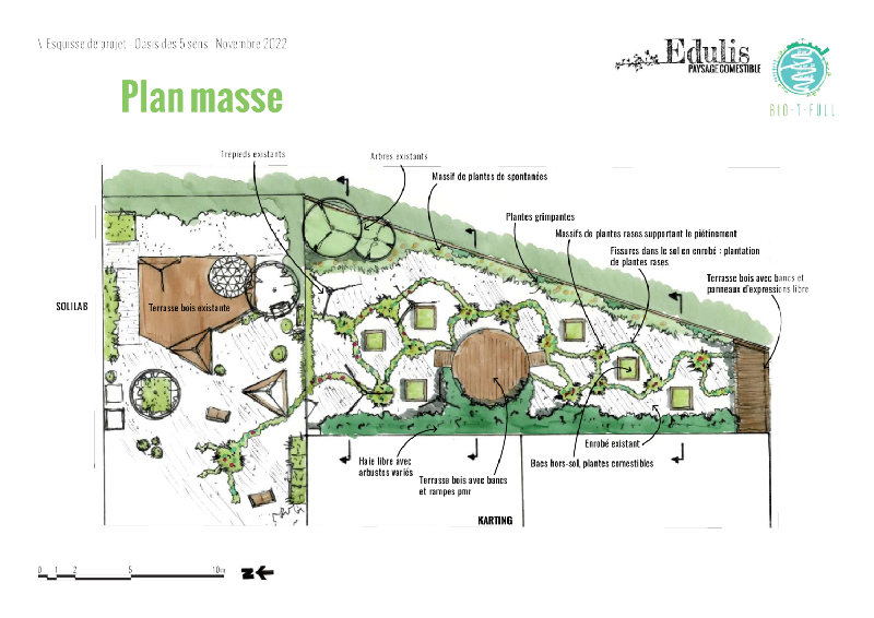 Plan de projet d'un jardin à visée thérapeutique en coconstruction avec des jeunes ayant des troubles du neuro-développement